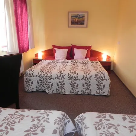 Guest house Willa Fahrenheita 3*